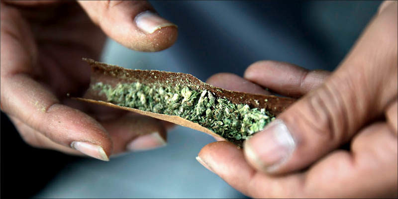 Marijuana Facts